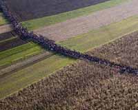 Тысячи мигрантов вошли в Словению